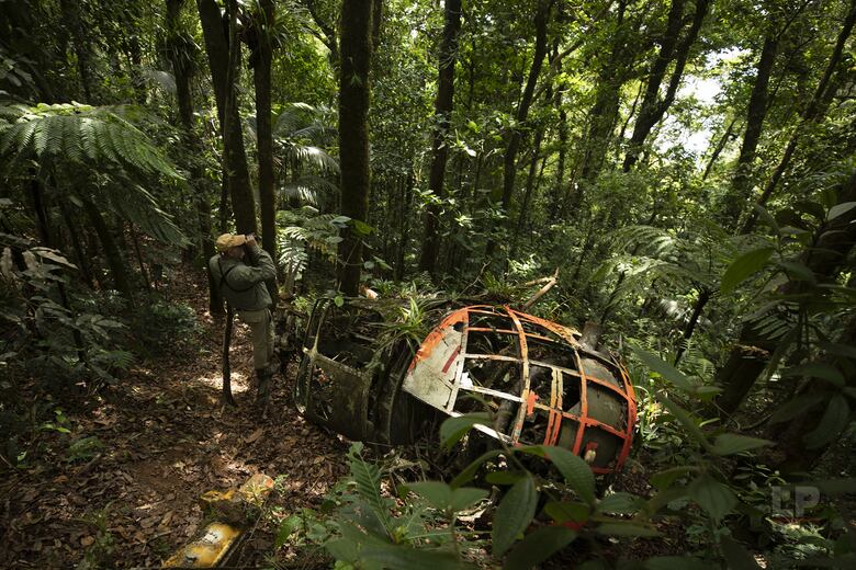 Cerro Chucantí, una joya ecológica entre las provincias de Darién y Panamá