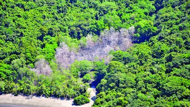 ¿Qué pasa en el humedal?