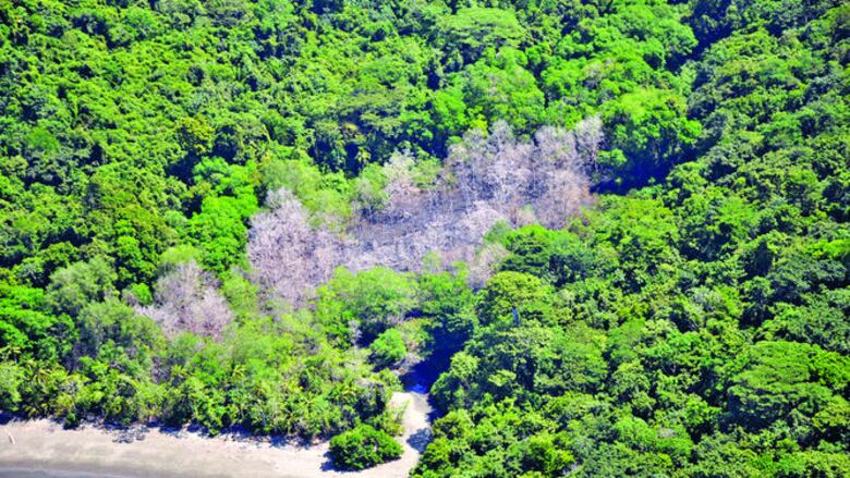 ¿Qué pasa en el humedal?
