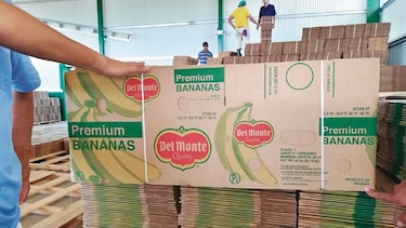 El oro verde vuelve a brillar en Barú