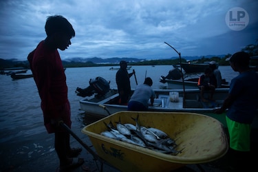 Jaqué: el paraíso donde mandan el olvido y la pobreza