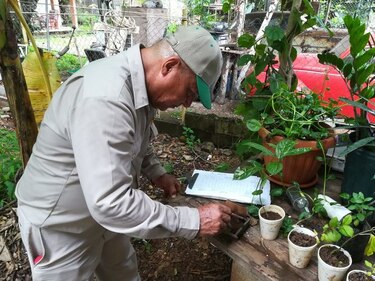 Confirman primer caso autóctono de virus hanta en Herrera