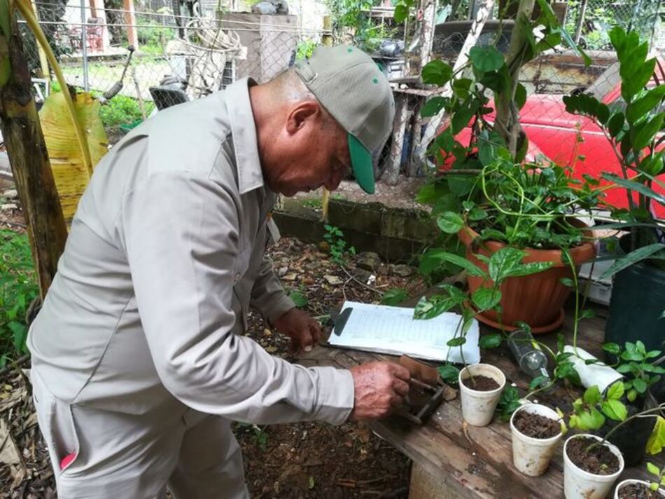 Confirman primer caso autóctono de virus hanta en Herrera