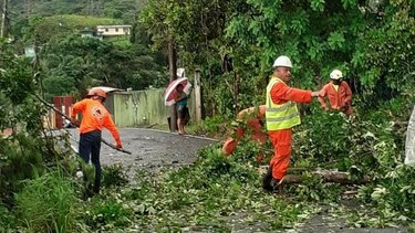 Al menos 15 viviendas afectadas por caída de árboles y lluvia en la ciudad capital y provincia de Colón