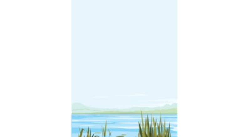 Los cocodrilos, el clima y los humanos