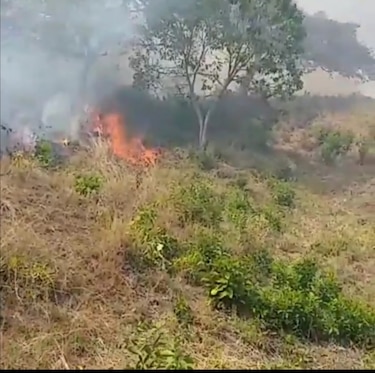 Incendios afectan unas dos mil hectáreas de reservas forestales