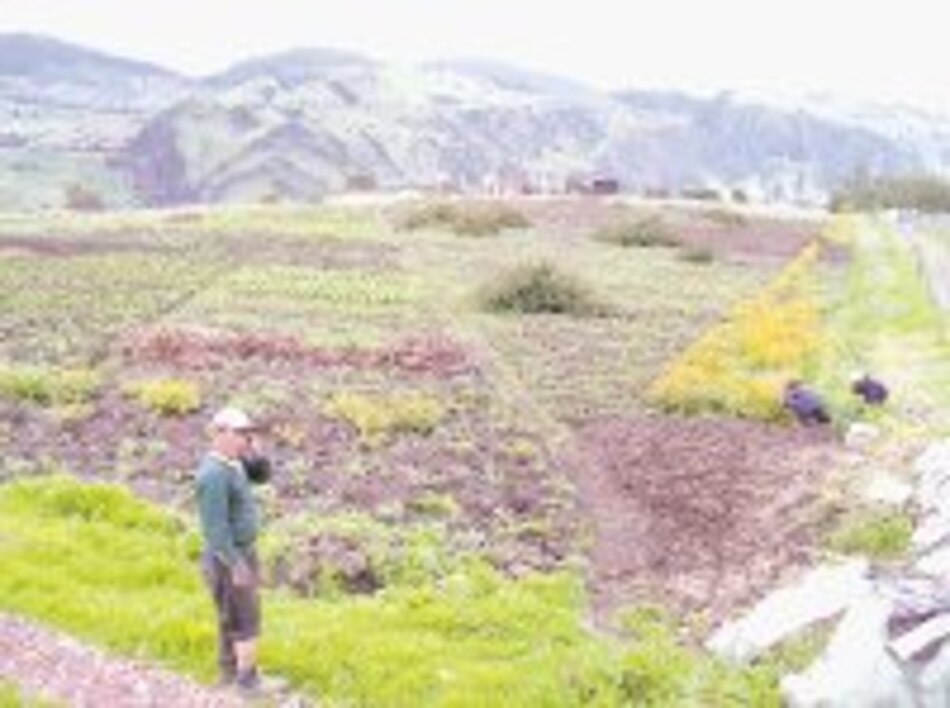 Amor y ganas, motores de Farmaverde