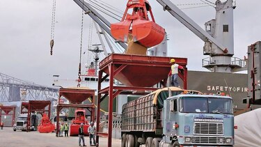 Solicitan restringir importación de arroz