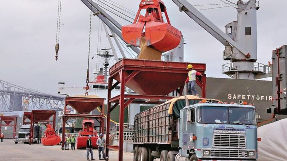 Solicitan restringir importación de arroz