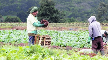 Impulsan plan para reactivar el agro