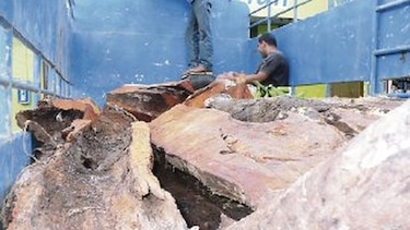 Envían de vacaciones a directores de Anam