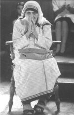 Fotografías en honor a la vida