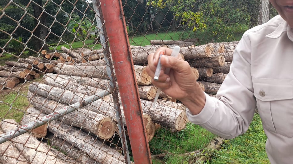 Casos de dengue van en aumento este 2025