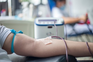 Una enzima transforma sangre del grupo A y B en cero negativo, universalmente compatible
