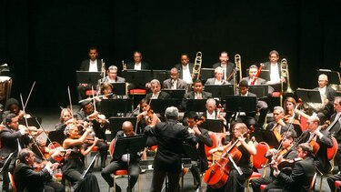 Concierto sinfónico en Plaza Catedral
