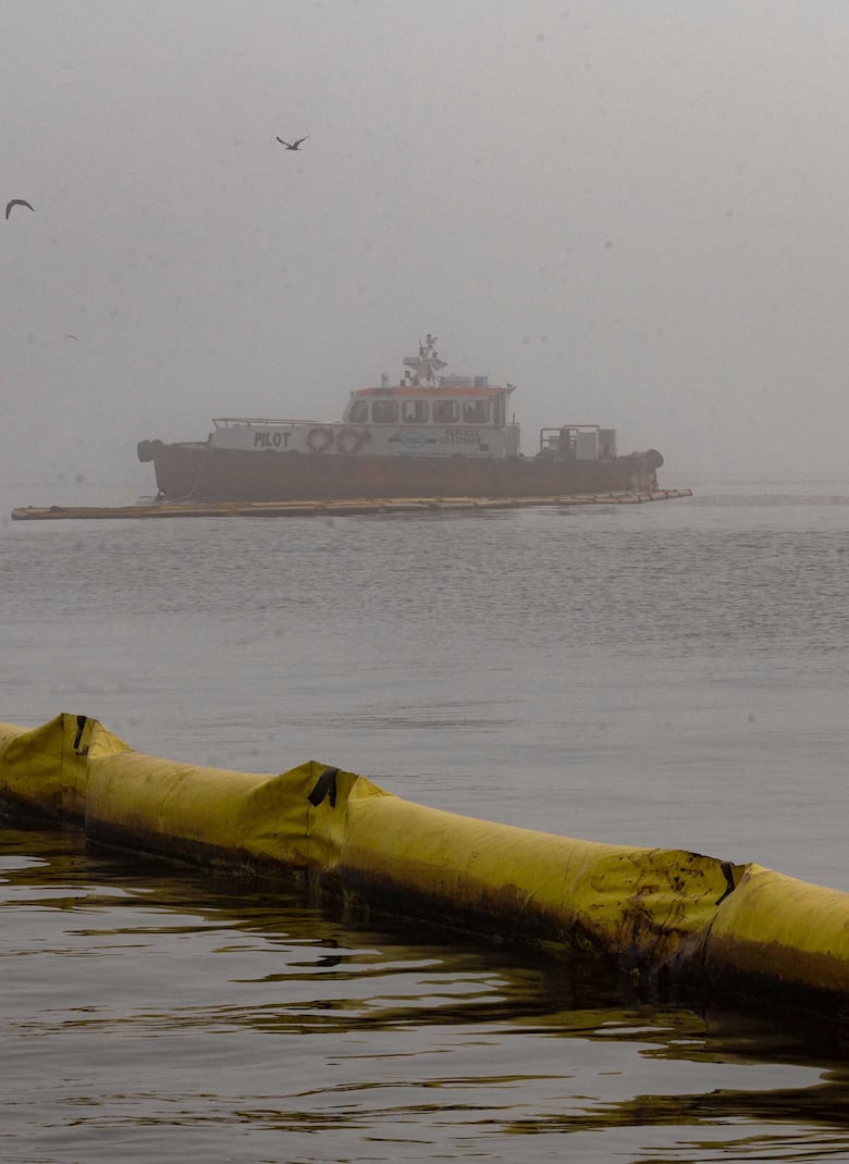 Sin determinarse culpables de derrame de crudo en Perú