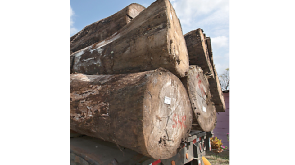 Denuncia penal por concesiones en comarca emberá