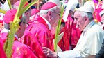 La cruz de la Jornada Mundial de la Juventud, camino a Panamá