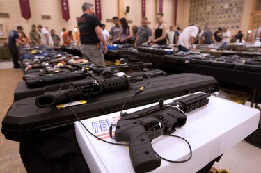 EU: Senado rechaza ampliar revisión de antecedentes a compradores de armas