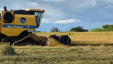 En ocho años, Panamá inició 60 procesos por salvaguardas a productos de Estados Unidos