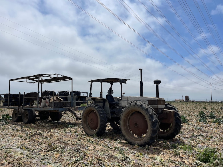 ‘¿Es usted de la Migra?’: el temor de los migrantes que se esconden de las redadas en Oxnard, la ‘capital mundial de la fresa’ en California