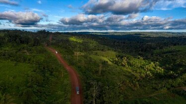 En 2018 se destruyeron 12 millones de hectáreas de selvas tropicales
