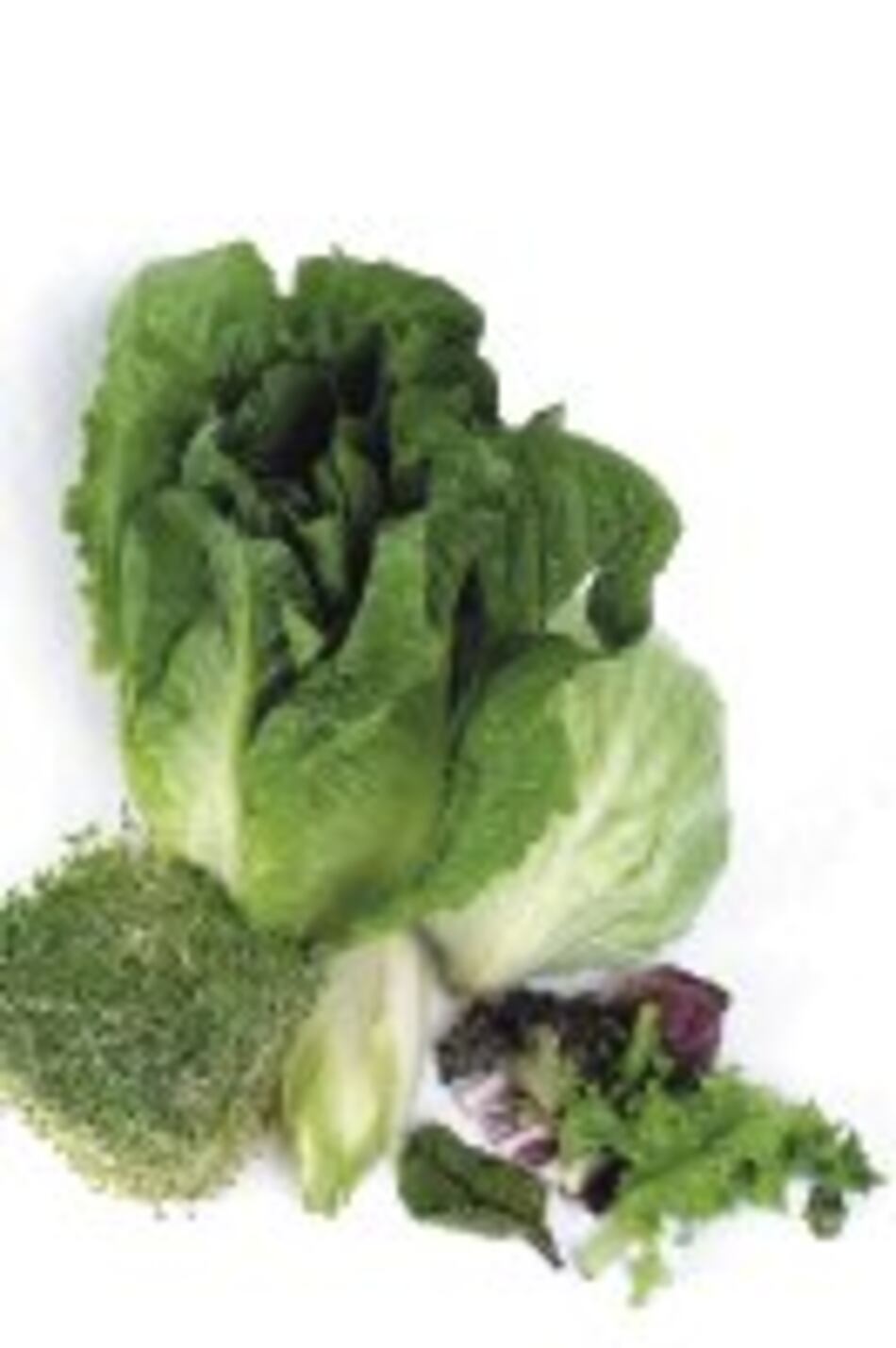 Toneladas de ensaladas