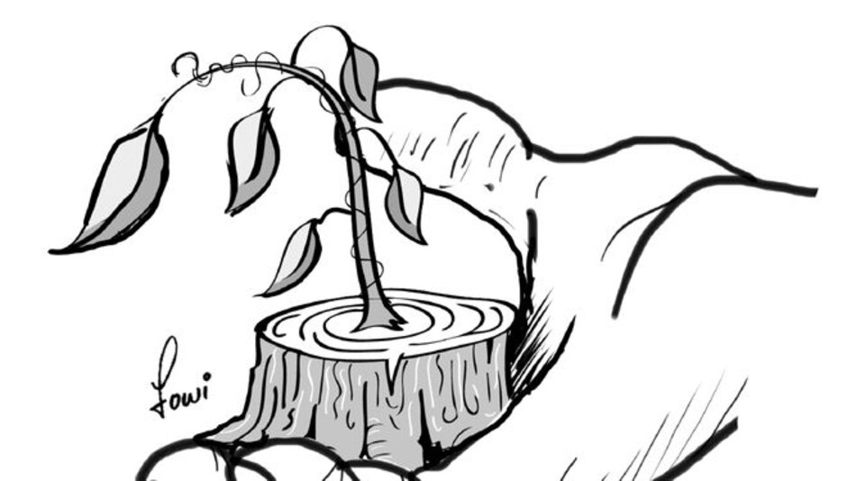 Empirismo y saberes ambientales