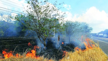 Aumentan incendios forestales