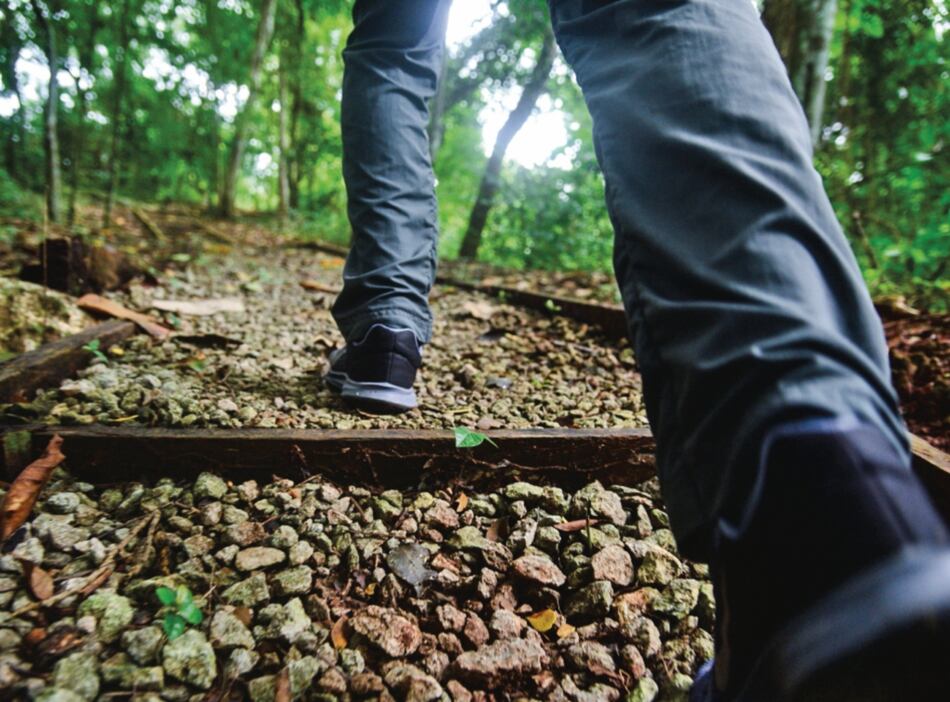 Una ley que reconoce derechos a la naturaleza como persona jurídica