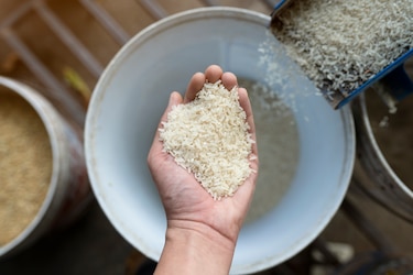 Productores de arroz temen a la liberación arancelaria