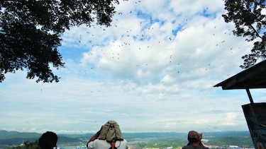 Conteo en el cerro ancón