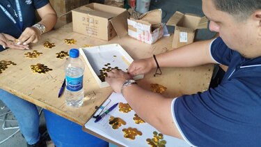 Juez ordena la detención de otras dos personas por falsificación de monedas ‘martinellis’