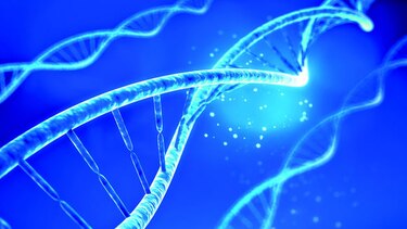 Genómica y la medicina del futuro