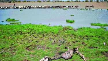 La Tierra, hacia un ‘punto de inflexión’