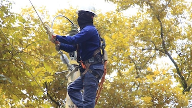 Trabajos de mantenimiento en la red eléctrica del 2 al 8 de junio 2025