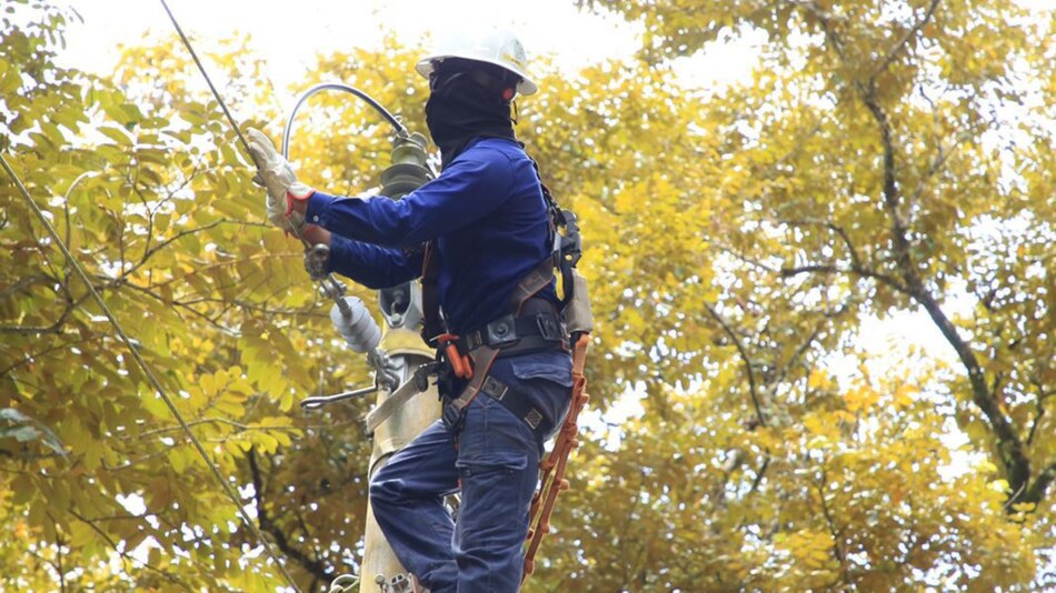 Trabajos de mantenimiento en la red eléctrica del 30 de junio al 6 de julio 2025