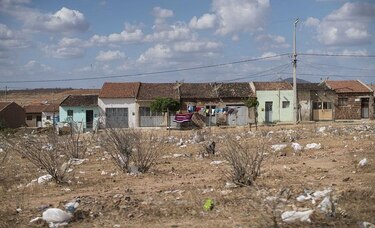 Brasil busca un nexo entre malformaciones y virus del zika