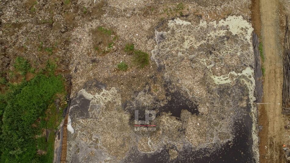 Ministro de Ambiente dice que se evalúa intervenir la administración de Cerro Patacón