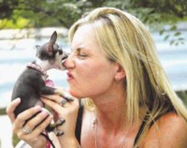 Perros llorones y lobos aulladores