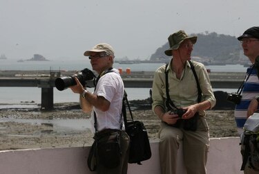 Llegada de turistas a Panamá aumenta 17.3% entre enero y julio