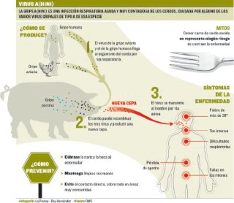 Gripe A(H1N1) deja 22 muertos en el país