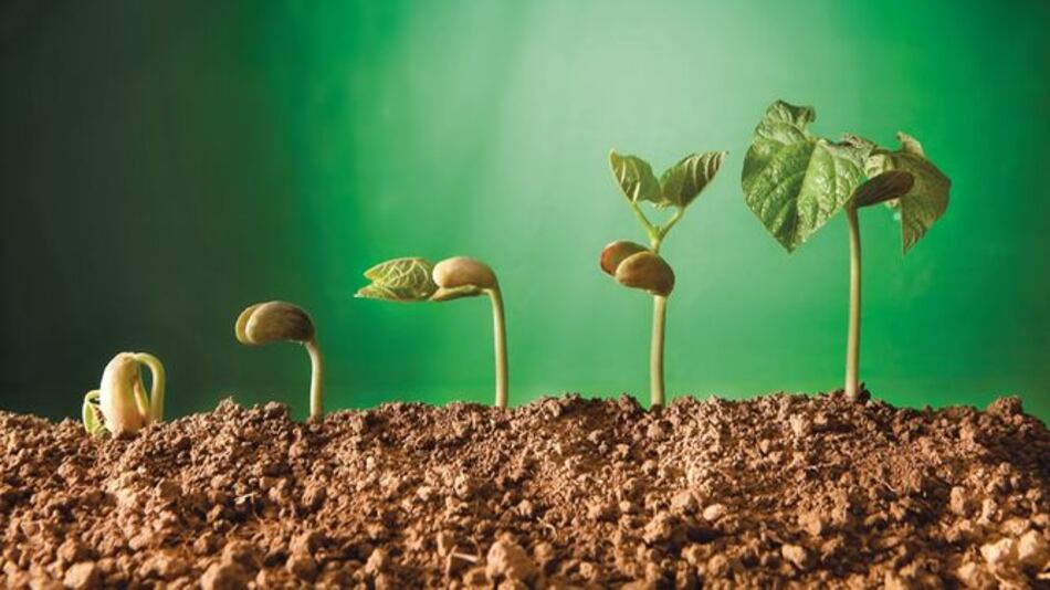 Cuando la solución para el planeta está bajo la tierra