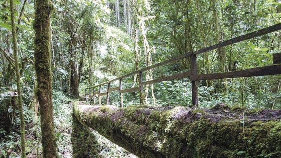 Ecologistas solicitan veto a ley que crea comarca Naso