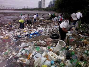 Realizan limpieza en 50 playas de Panamá