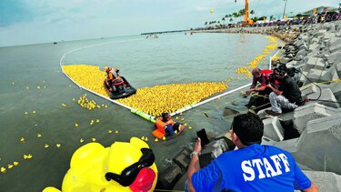 MILES DE PATOS DE HULE EN LA BAHÍA