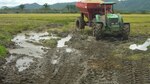 Más de 500 hectáreas de producción agrícola afectadas por lluvias en Los Santos