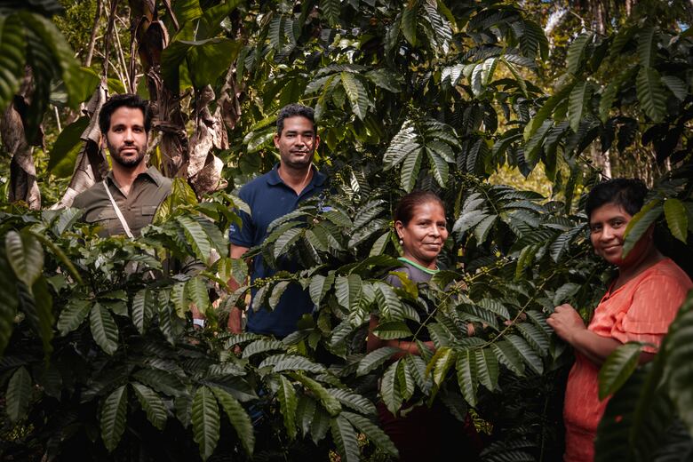 El café guardián del agua