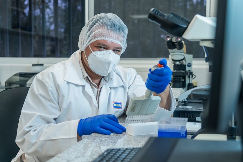 Grupo Melo y su modelo de sostenibilidad con sello panameño