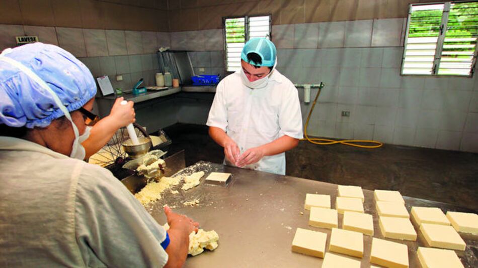 Importación afecta a queserías locales